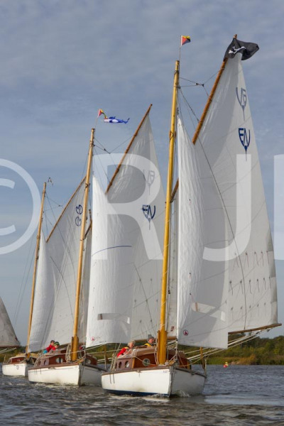 BartonCYR081018No-9
