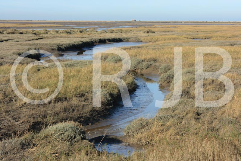 Blakeney0090