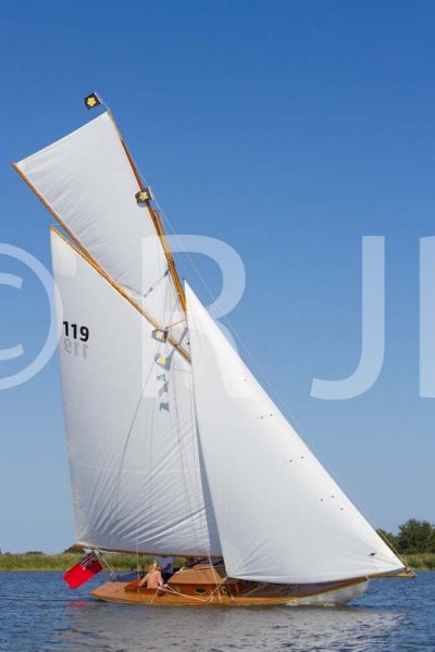 Buttercup020918No-224