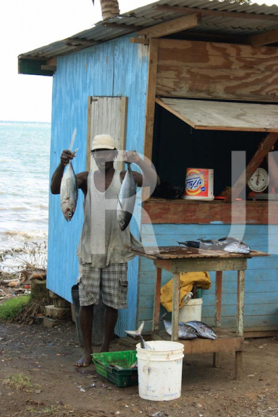 Caribbean1276