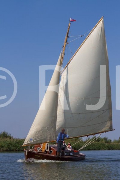 EastwoodWhelp080916No-150