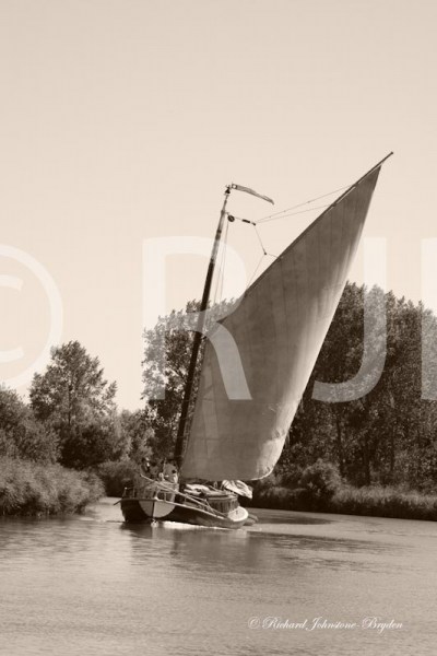 HathorBW1-copy