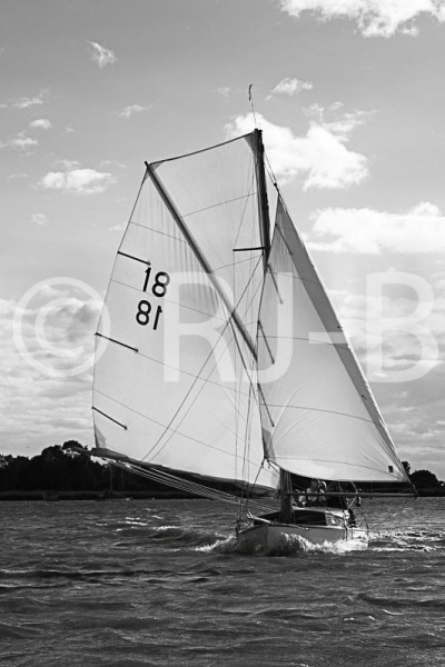 OultWK10No0252