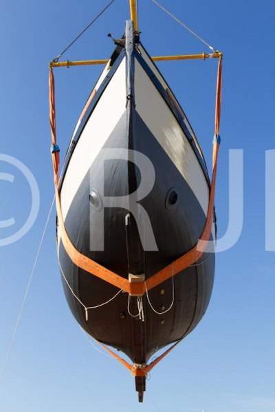 OurLizzie171018No-4