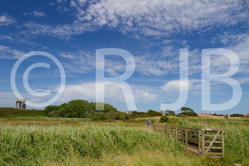 Southwold100715No-311