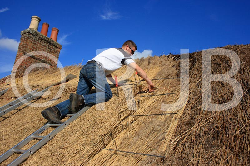 Thatch69