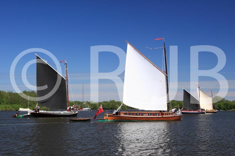 Wherries020612No0416