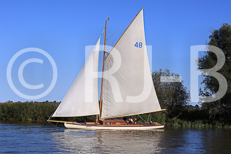 YNR09N1019