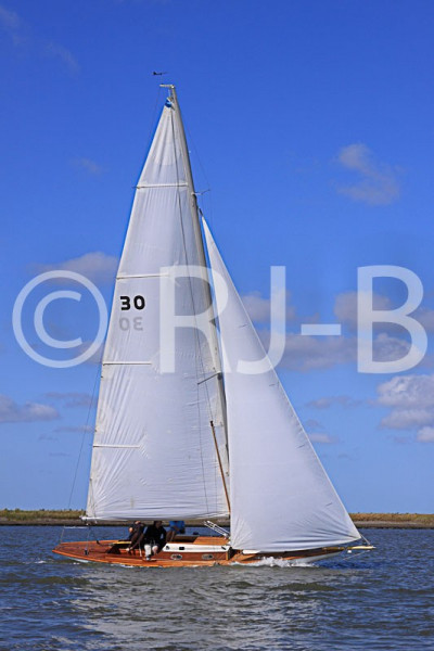 YNR09N316