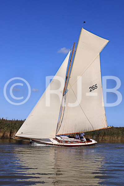 YNR09N839