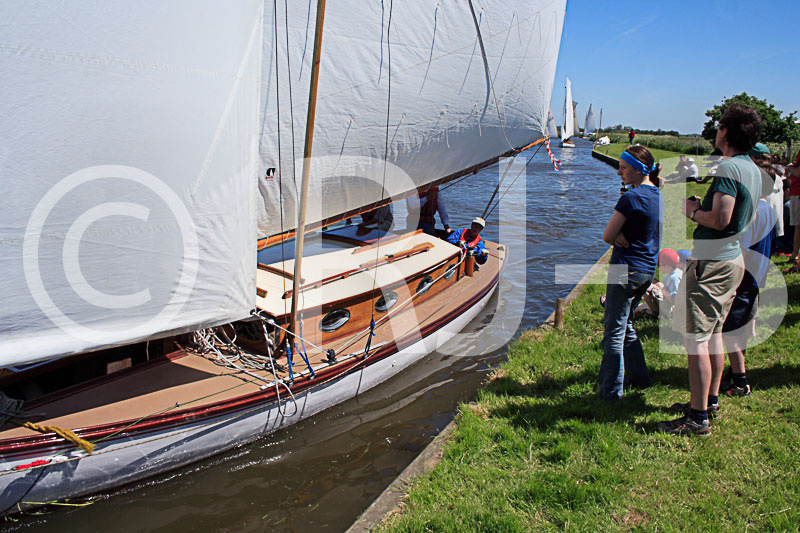 t3RR2006No139
